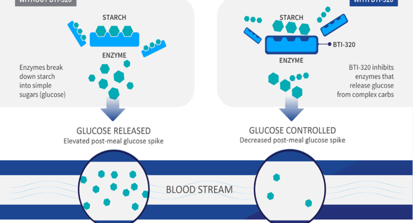 SUGARDOWN® (BTI320) Mechanism of Action